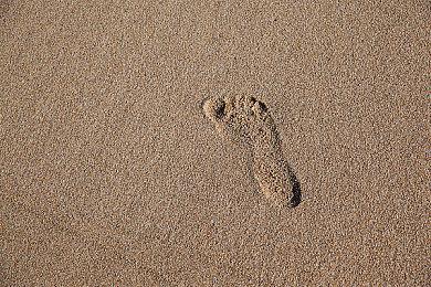 《学园偶像祭2》国际服宣布开服，同时宣布停服